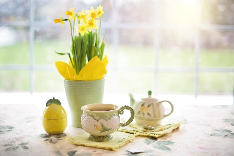 Windowsill Garden