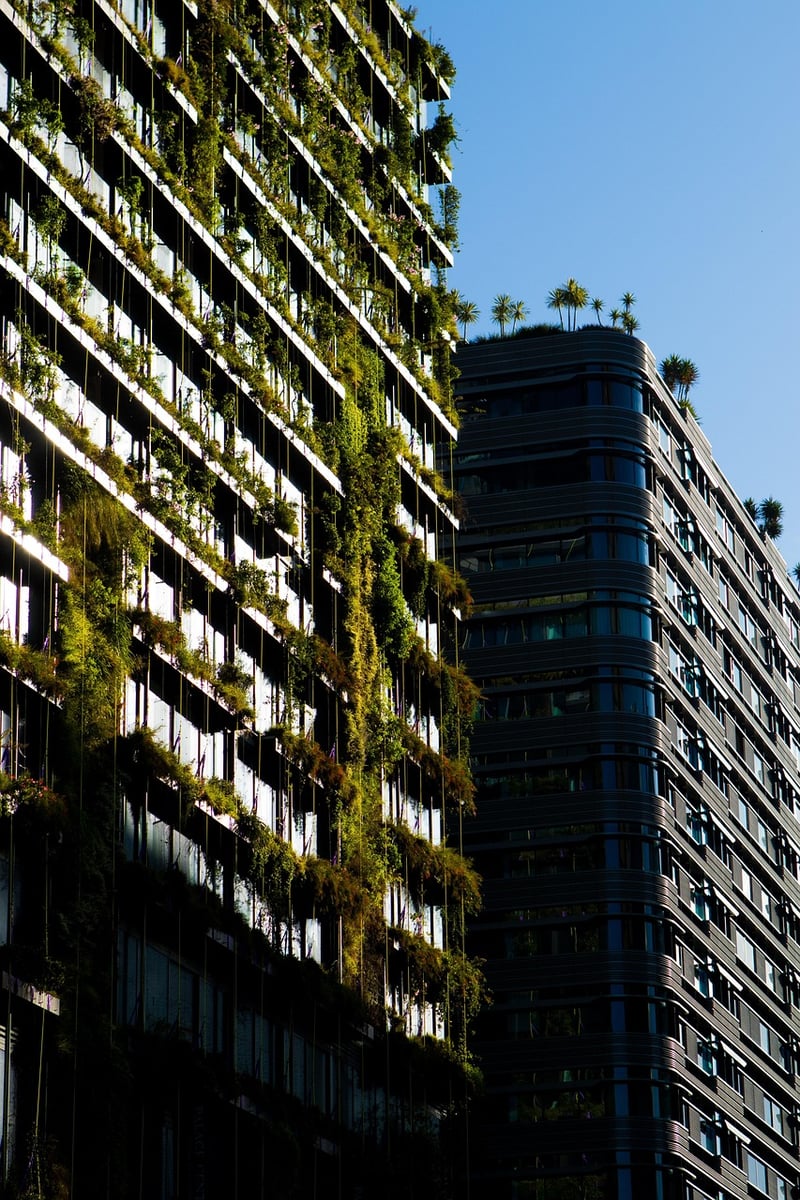 Vertical Plant Wall